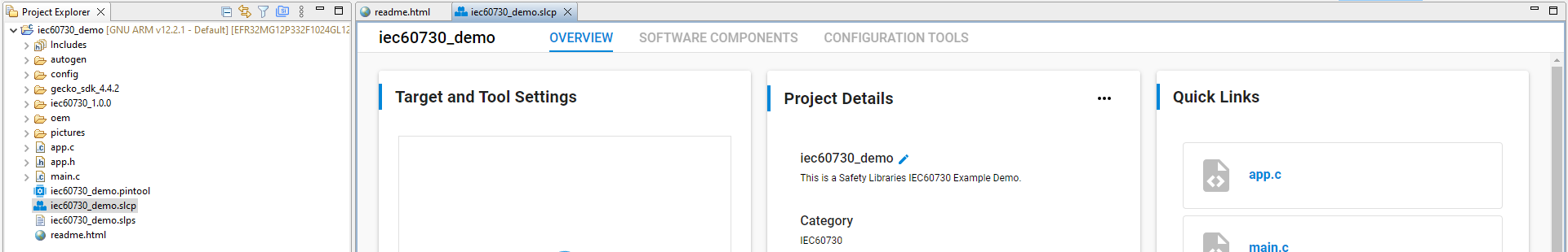 Figure 9 Project generation in workspace